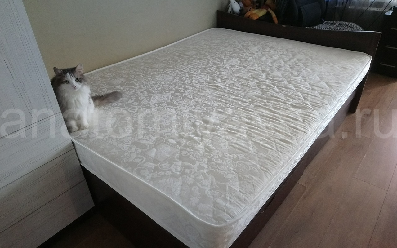 отзыв о Матрас Everest Ноу спринг Рестролл Эко фото 2